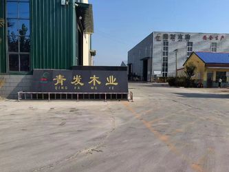 Porcellana Heze Qingfa Enterprises Co., Ltd.