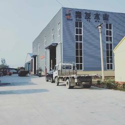 Porcellana Heze Qingfa Enterprises Co., Ltd.