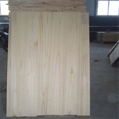 Moderno Stile Paolawnia Legno Massello Tavola Total Project Solution Capacità per i progetti