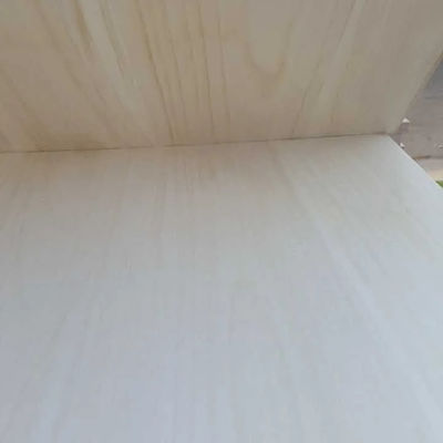 Dimensioni personalizzate Tavola comune a dita di legno Paulownia con legno massello in colore naturale
