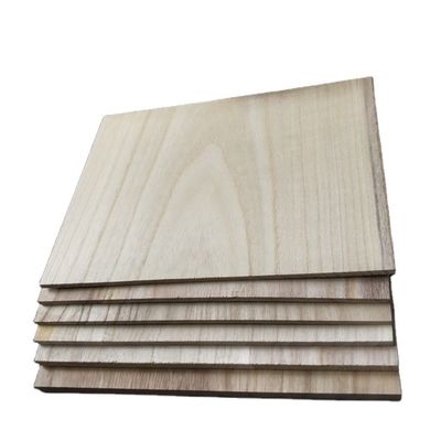 Unisex Training Taekwondo Board Colore naturale Stampa del logo personalizzata