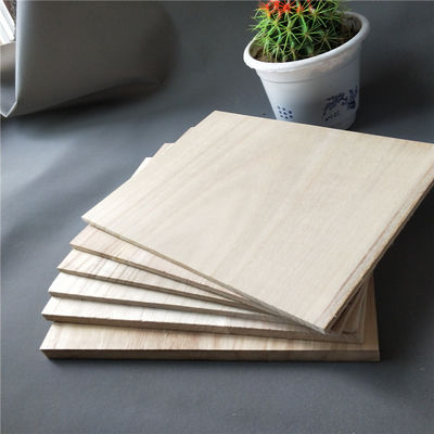 Unisex Training Taekwondo Board Colore naturale Stampa del logo personalizzata