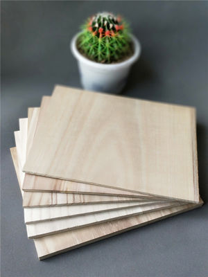 Tavole di arti marziali da 225x300 mm di paolownia Tavola di legno da 3-30 mm di spessore