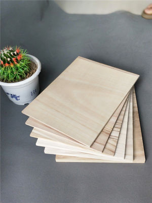 Tavole di arti marziali da 225x300 mm di paolownia Tavola di legno da 3-30 mm di spessore