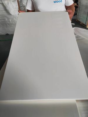 Pannelli di legno di pino finiti a colori personalizzati Pannelli di legno decorativi per spazi commerciali