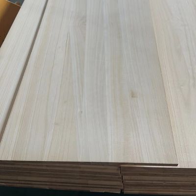 480-510 kg/m3 Legname di pino 18 mm con articolazione radiata