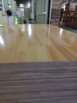 480-510 kg/m3 Legname di pino 18 mm con articolazione radiata