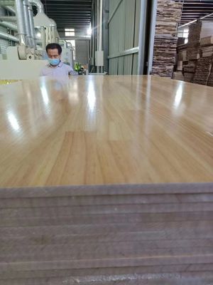 480-510 kg/m3 Legname di pino 18 mm con articolazione radiata