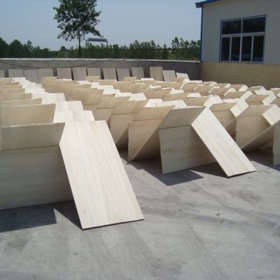 Paolownia in legno massello ecologico