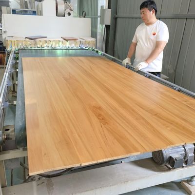 Legno di pioppo carbonizzato Larghezza 100-1220 mm Con supporto tecnico online