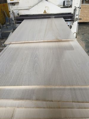 Contenuto di umidità 8%-12% di legno di paolownia