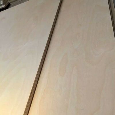 Progettazione grafica contemporanea di pannelli di legno di pioppo naturale