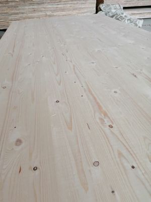 Tavola di legno di abete contemporaneo con tenore di umidità 8-12% 1220*2440mm