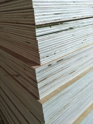 Tavola di legno di abete contemporaneo con tenore di umidità 8-12% 1220*2440mm