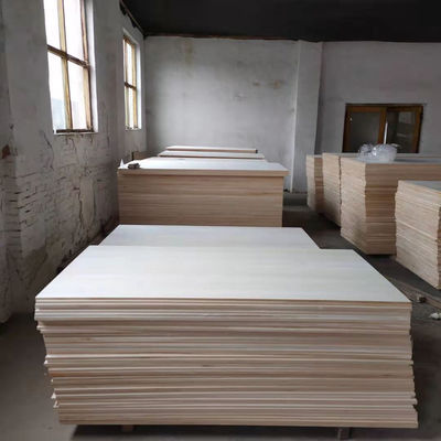 Vendita di tabelloni comuni di legno massello per surf