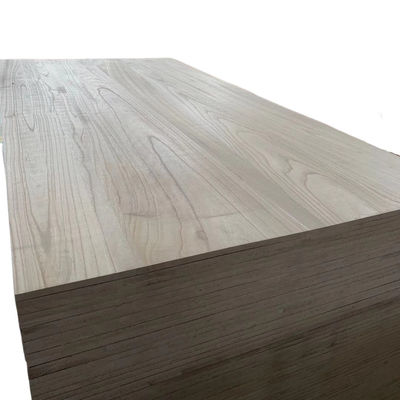 Tavole di legno di paulownia con campione libero contenuto di umidità 8%-12% stile di design moderno