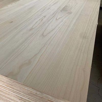 FSC 100% certificato 3mm-50mm paulownia per la produzione di mobili su misura