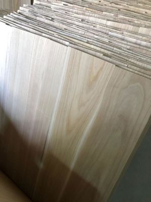 2440x1220 o 1200x600 Dimensione 12 mm Tavola di legno di paolownia compressa con certificato FSC