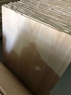 2440x1220 o 1200x600 Dimensione 12 mm Tavola di legno di paolownia compressa con certificato FSC