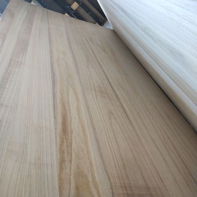 Legno di Paulownia Dimensioni personalizzate Tavole di legno sbiancate senza nodi 1220x2440mm